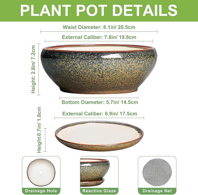 SQOWL Succulent Pots - 8 Inch Ceramic Bonsai Pots, Round Shallow Planter with Drainage Hole and Saucer, Succulent Indoor Planter, Bowl Planters Outdoor, Apartment Decor, Gifts for Women, Brown