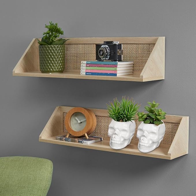 Small Fake Succulents Plants Artificial Succulents in Pots Set of 2 Mini Succulent Plant Realistic Faux Plants Skull Artificial Succulent Plants for Home Office Table Bedroom Bathroom Shelf Decor
