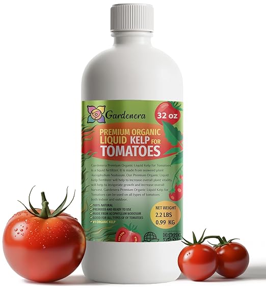 GARDENERA Premium Organic Seaweed & Kelp Superfood for Tomato Plants - 32 oz - Liquid Kelp Fertilizer Concentrate (Makes 180 Gallons)