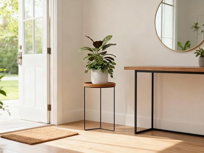 Indoor Metal Plant Stands with Wooden Tops, Holds Pots up to 12" Diameter, 120 lb Capacity Each - 9" Wood Top Plant Stand - 3-Pack