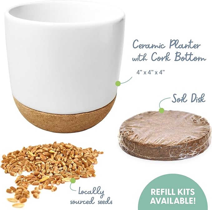 The Cat Ladies Cat Grass for Indoor Cats Kit with Organic Cat Grass Seed Mix, Soil and Ceramic & Cork Planter, Natural Hairball Remedy