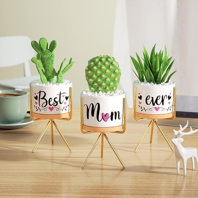 Christmas Mom Gifts, Best Gifts for Mom from Daughter Son Kids Unique, Best Mom Ever Succulent Pots for Plants Indoor Ceramic Planter, Gift Boxed Thanksgiving Birthday Gifts for Mom Mother-in-Law Wife