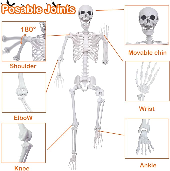 5.4ft/165cm Halloween Skeleton with Realistic Crows Full Body Plastic Human Bones with Movable Joints for Indoor Outdoor Halloween Decor