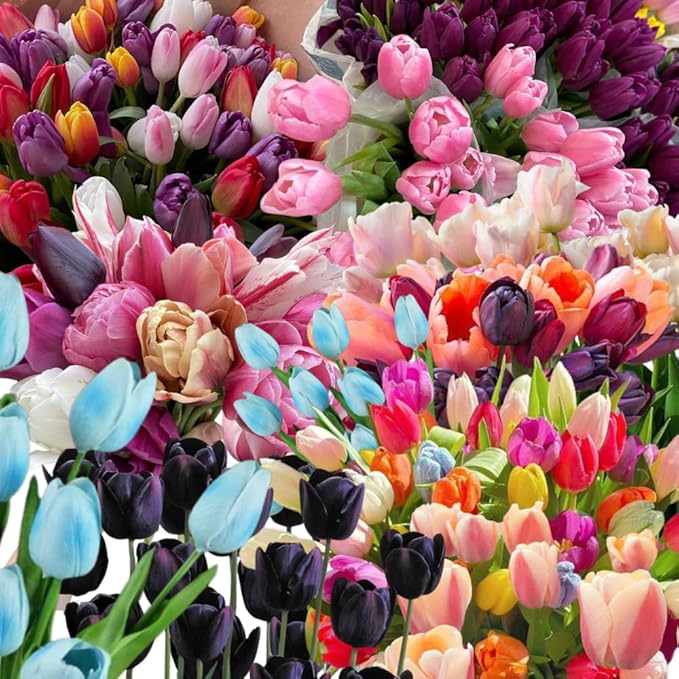 20 Mix Tulip Bulbs for Fall Planting, Vibrant Spring Blooms, Easy Fall Planting, Bulk Tulips Bulbs Perennial Flowers, Medium Size Bulbs Ready to Grow (Mix Single Tulip Bulbs)