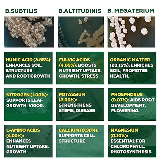 Organic Liquid Plant Food for Indoor Plants & Gardens, Natural NPK Fertilizer w/Beneficial Microbes, Rapid Results, Vegan, Best Value Super Concentrate, Smart Grower, Makes 40 Gallons (8 Fl Oz)