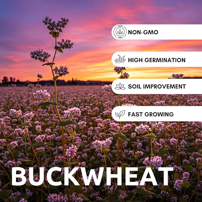 Buckwheat Seeds for Planting - Cover Crop, Grain, Bee Pasture, Pollinator, Wildlife Seed (5 Pounds)