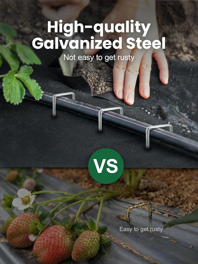 GROWNEER 8 Inch 50 Pack Landscape Staples Heavy Duty 11 Gauge Galvanized Steel Garden Stakes Securing Pegs for Securing Weed Fabric Landscape Fabric Netting Ground Sheets and Fleece