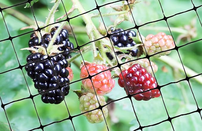 Bird-X Standard Bird Netting, Ideal for Gardens and Lightweight Applications, UV-Stabilized Mesh Netting with 3/4" Hole Opening, Easy to Install, 100' x 14'