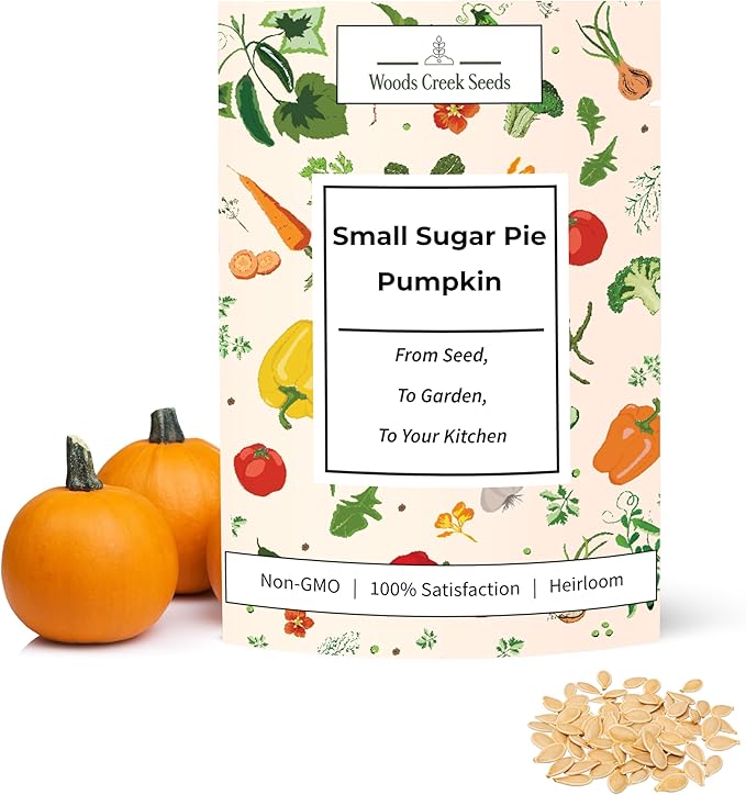 Woods Creek Seeds: Small Sugar Pie Pumpkin Seeds for Planting - Over 40 Heirloom Non-GMO Pumpkin Seeds to Plant - Ideal Heirloom Seeds to Grow for Pies & Fall Harvest - Pumpkins for Outdoor Gardens