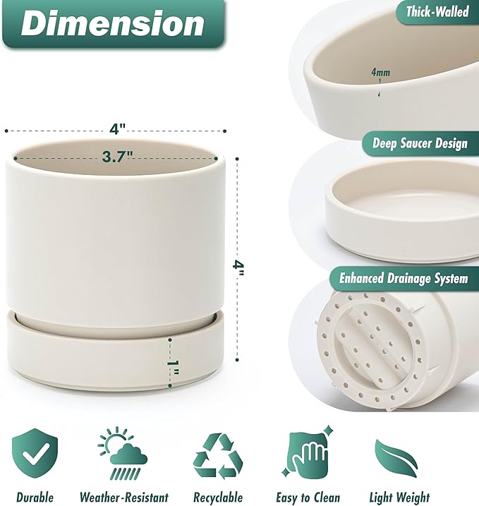 Phoenix Vine 4 Inch Planter Pot with Drainage Hole & Saucer, Deep Water Catch Tray, Straight Cylindrical Round Pot for Plants, Oatmeal, Pack of 1, 23-E-R-1