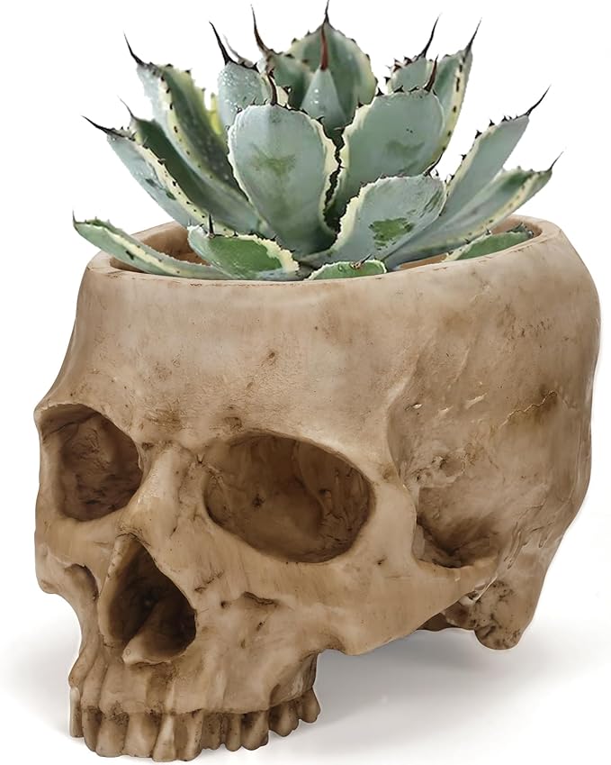 Skull Planter Pot for Plants - Realistic Human Skull Head Flower Pot, Halloween/Gothic Décor, Resin Planter for Succulents, Bonsai, Cactus, Home Bar, Desk, Spooky Gift Idea(Beige)