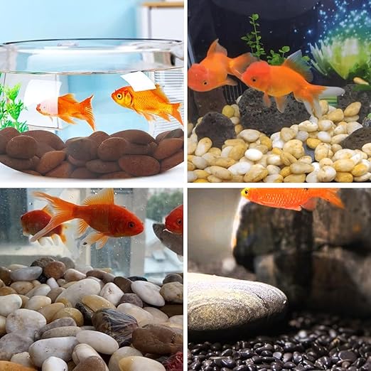 10lbs Red River Rocks, 2-3 Inch Natural Pebbles for Indoor Plants, High Polished Decorative Stones Vase Filler Fish Tank Aquariums Landscaping Garden