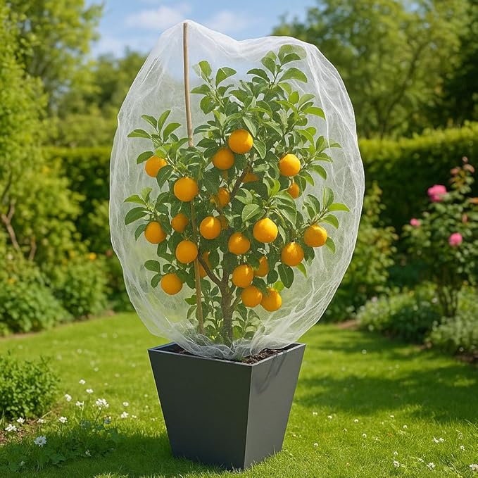 Fruit Tree Protection Bags 4.5x6 FT in 4 Pack | Multiple Size Garden Netting for Fruit & Vegetable Protection | White Plant Net Cover for Blueberry & Tomato | Bird & Insect Mesh Fabric Protector