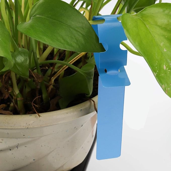 600 PCS 6 Colors Plant Labels, Plastic Plant Tree Tags, Hanging Garden Waterproof Plant Tags for Garden Yard, Adjustable and Reusable Nursery Labels Tag