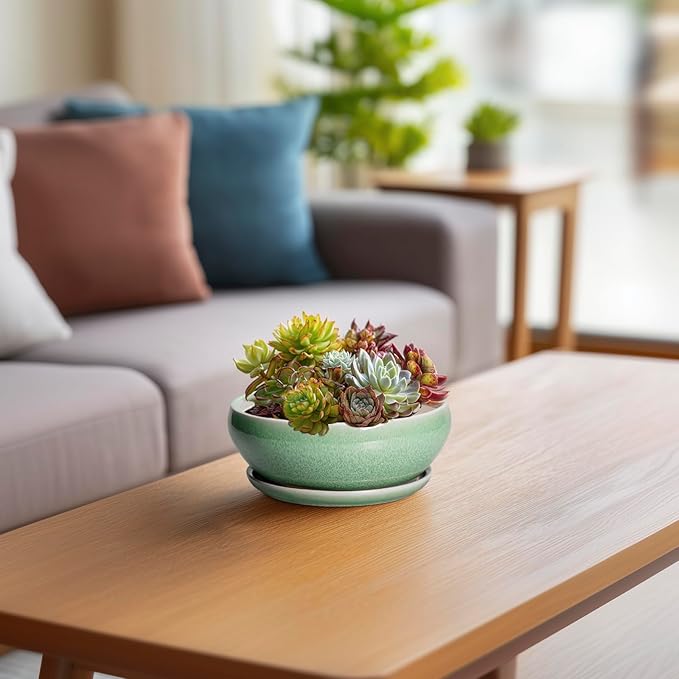 SQOWL Succulent Pots 6 Inch - Ceramic Bonsai Planter for Indoor Plants Outdoor, Shallow Planter with Drainage Hole and Tray, Round Planters for Cactus Flower, Office Decor, Gardening Gifts, Green