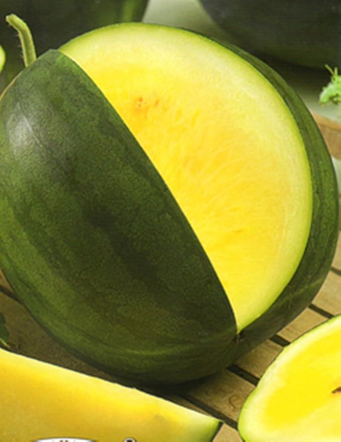 Yellow Watermelon Seeds Rare Hierloom Vegetable for Planting Giant Non GMO 15 Seeds