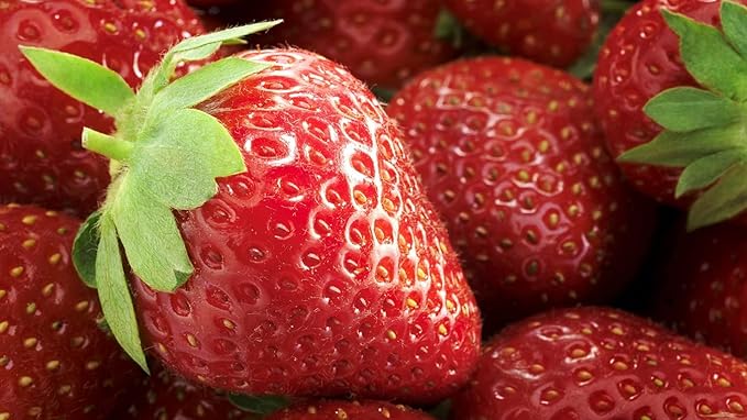 Strawberry Fresca Seeds – Fragaria × Ananassa | Perennial | Everbearing, Sweet & Juicy Garden Strawberry