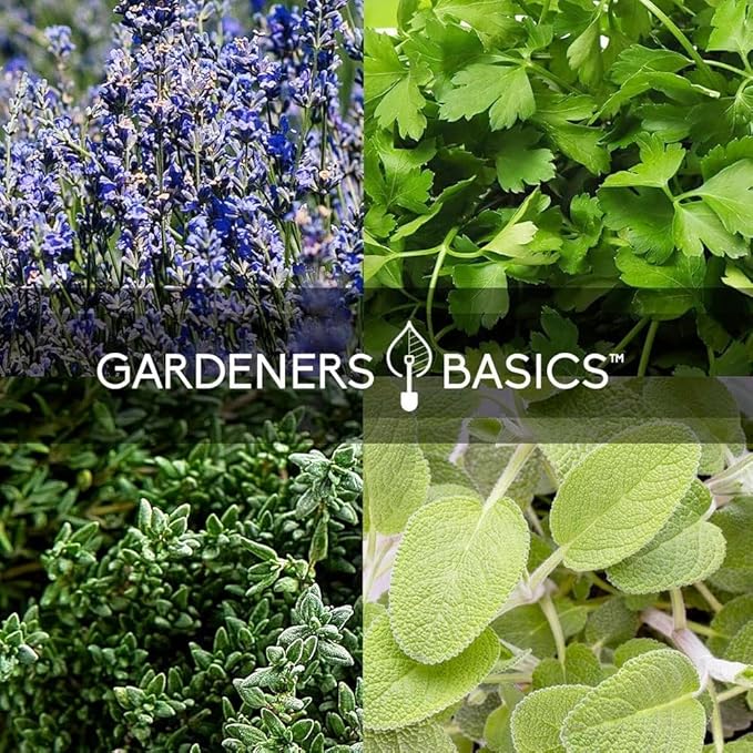 Ultimate Survival Seed Kit – 140 Heirloom, Non-GMO Varieties | Over 73,000 Seeds for Planting Vegetables, Herbs & Flowers | Emergency Food Preparedness & Long-Term Storage