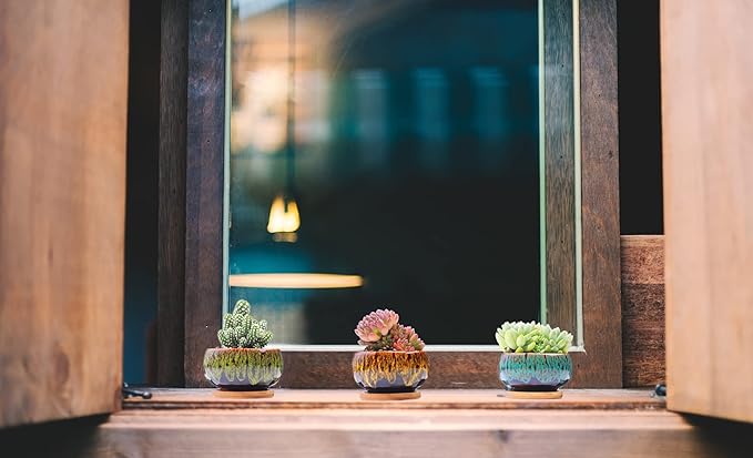 Cute Ceramic Succulent Garden Pots, Planter with Drainage and Attached Saucer, Set of 5 -Plants Not Included (Round)