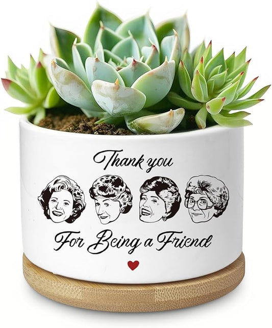 Friend Gifts for Women, Succulent Planter, Flower Cactus Plant Pot, Friendship Gifts for Women Friends Bestie Sister, Golden Merchandise, Thank You for Being A Friend (No Plants)