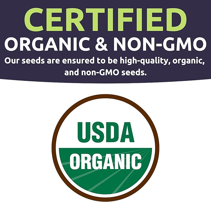 Organic Thai Basil Seeds – Seed Packet of Over 650 Open Pollinated Non-GMO Seeds – Sweet Yards Seed Co.