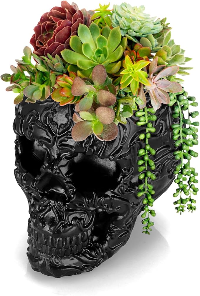OwnMy Resin Skull Planter for Indoor Plants, Black Skull Flower Succulent Pot with Drainage Holes, Halloween Skulls Head Planter Decorative Small Succulents Planters Pot for Tabletop