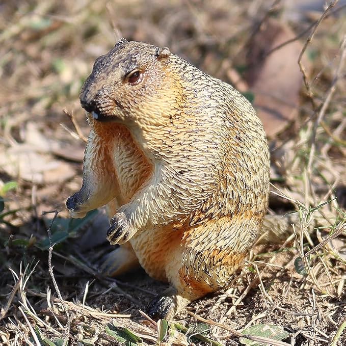 3PCS Groundhog Figurine Groundhog Sculpture Groundhog Model Animal Model Home Decoration Outdoor Garden Statue