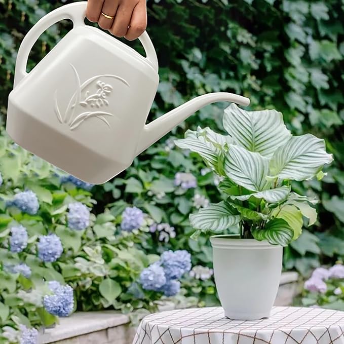 Plant Watering Can - Indoor and Outdoor Home Garden - 1/2 Gallon - White