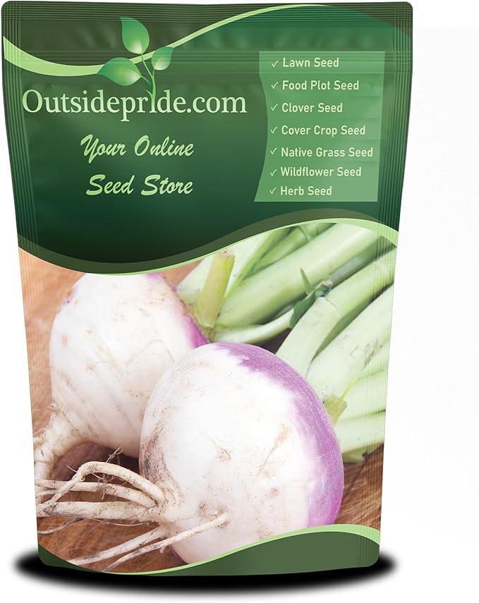 Outsidepride Purple Top Turnip Seeds - 5 Lbs High-Yield, High Protein Turnip Seed, Ideal Cover Crop, for Forage, Grazing Livestock, High Energy Deer Food Plot & Soil Improvement