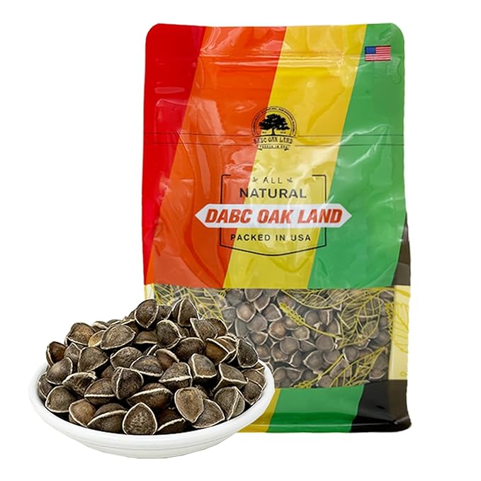 1LB Premium Moringa Seed, 100% Natural Moringa Oleifera, Malunggay, Drumstick Tree Seeds from India Planting, Superfood, Nutritional, Rich in Vitamins Edible Seeds 16oz/Bag