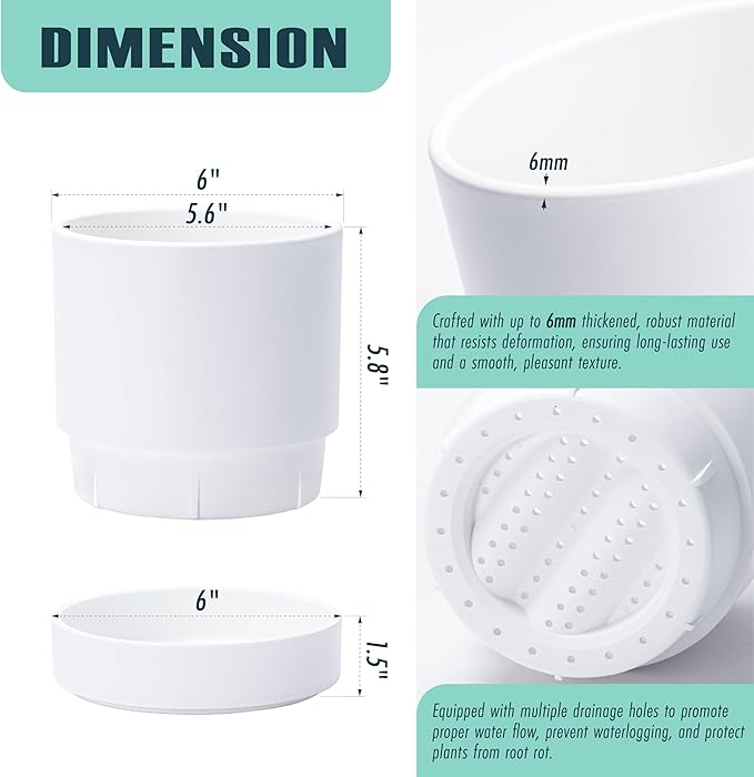6 Inch Modern Plastic Round Pots for Indoor Houseplants and Herbs, Pack of 3 Planter Pot with Drainage Hole & Saucer, Deep Water Catch Tray, Straight Cylindrical Pot for Plants, Matte White, 23-D-S-1