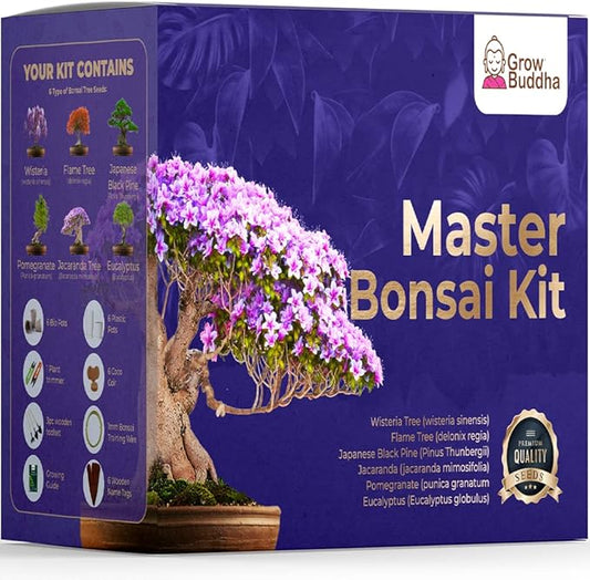 Grow Your Own Bonsai kit | Tree Plants & Seeds | Crafts Hobby Kits | Easily Grow 4 Types of Bonsai Trees with Our Complete Beginner Friendly Kit | Christmas Gift Ideas for Plant Lovers