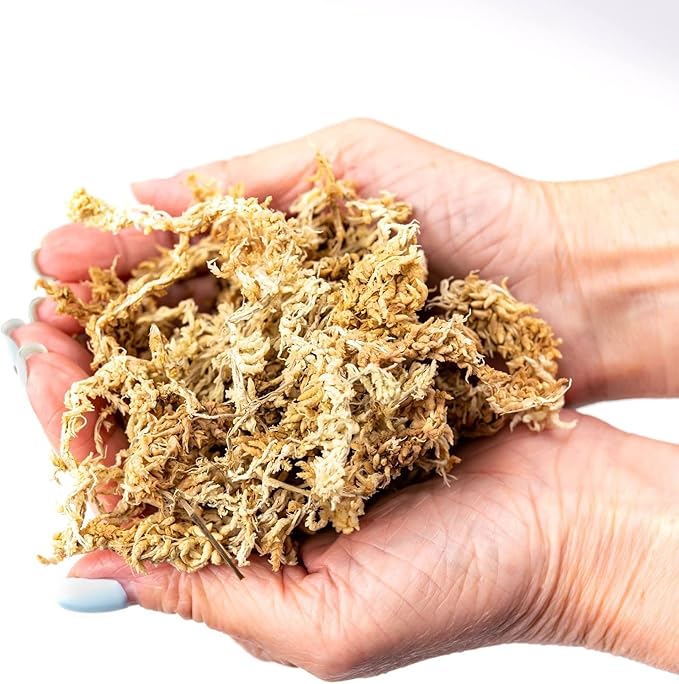 Premium Grade Sphagnum Moss by Gardenera - 10 Quart - Organic Hand Mixed New Zealand Long Fibered Sphagnum Moss Orchid - 2 Bags of 5 Quart