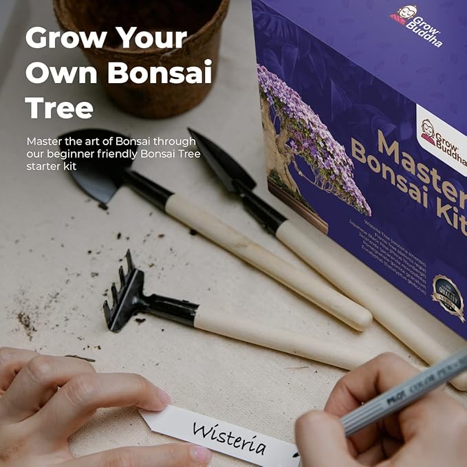 Grow Your Own Bonsai kit | Tree Plants & Seeds | Crafts Hobby Kits | Easily Grow 4 Types of Bonsai Trees with Our Complete Beginner Friendly Kit | Christmas Gift Ideas for Plant Lovers