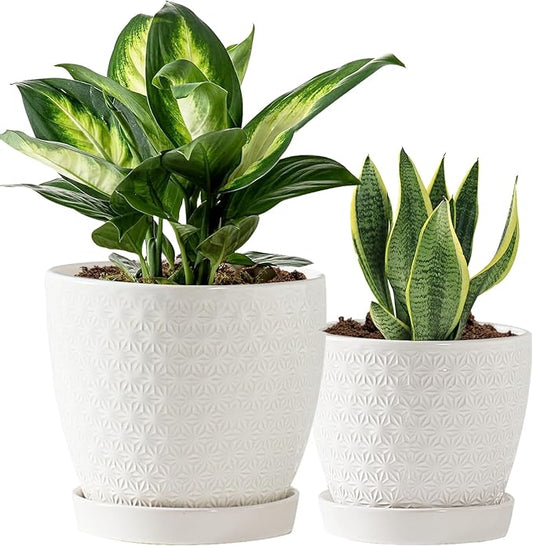 Plant Pots, Flower Pots, Planters for Indoor Plants(6.5+5.5inch), Flower Pots for Indoor Plants with Drainage Hole and Saucer, Ceramic Pots for Plant with Hole Mesh Pad,White