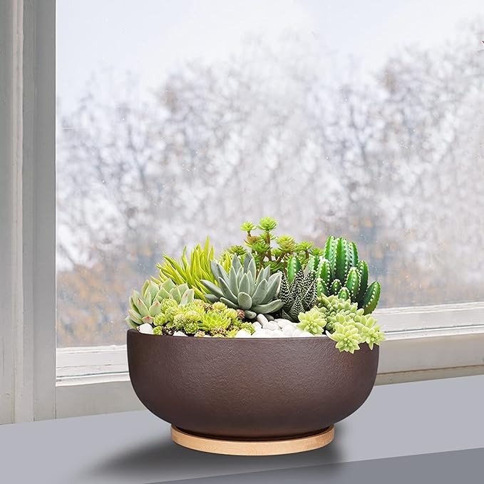 SQOWL 10 Inch Large Terracotta Planter Pot,Clay Succulent Bonsai Planter with Drainage Hole and Bamboo Saucer for Indoor Plants