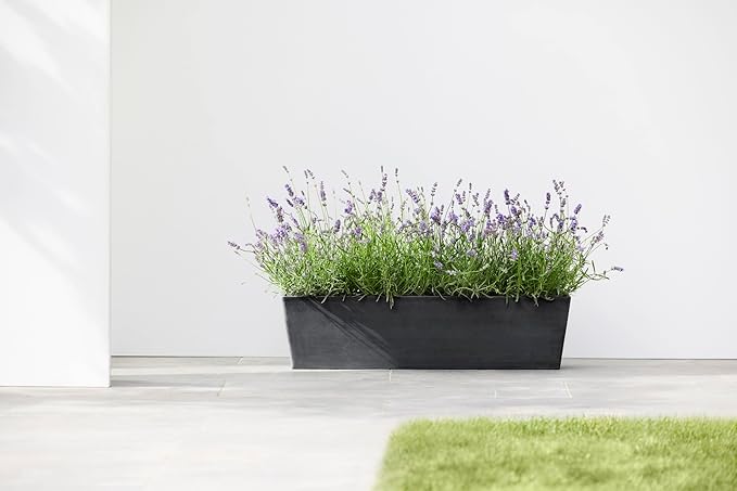 Ecopots Bruges Durable Modern Rectangular Indoor/Outdoor Recycled-Based Composite Flower Pot Planter, Dark Grey, 31.5"