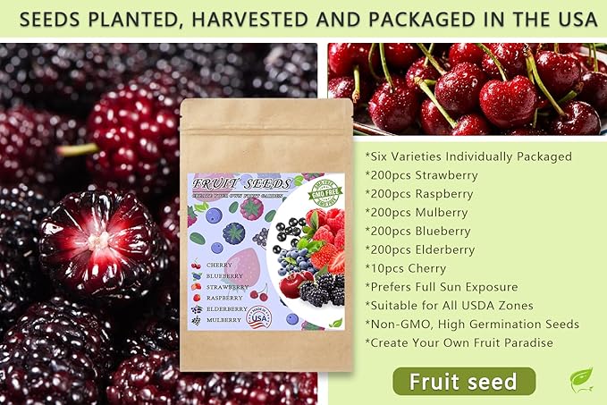 1000pcs Mix Fruit Seeds Berry Seeds for Planting Strawberry Raspberry Mulberry Blueberry Elderberry Cherry 6 Varieties Individually Packaged for Home Garden