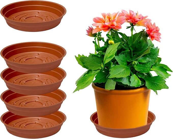 Curtis Wagner Plastics Drip Pan Plant Saucers (5-Pack) - Terracota, Round (Diameter: 5" Base, 6" Top, 1.25" Depth) Thin Plastic Planter to be Used as Indoor Pot & for Outdoor Plant Pots