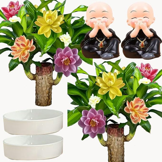 Brazilian Lucky Wood Plant, Brazilian Wood with Energy Crystals, Low-Light Office, Bedroom Decor, Home Good Luck Decor (2Black)