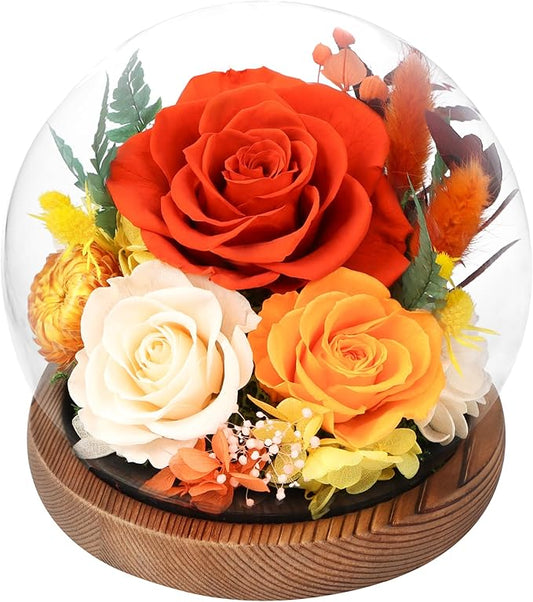 Preserved Flowers In Glass Dome, Eternal Flowers, Forever Flower, Birthday Gifts for Women, Gifts for Mom Girlfriend Her Friendship, Home Decor Bedroom Living Room (Terracotta)