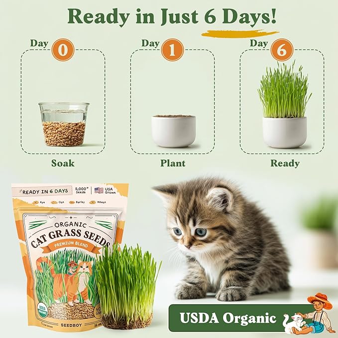 Seedboy Organic Cat Grass Seeds for Planting, Non-GMO Wheat, Oat, Rye, and Barley Cat Grass for Indoor Cats (16 oz)