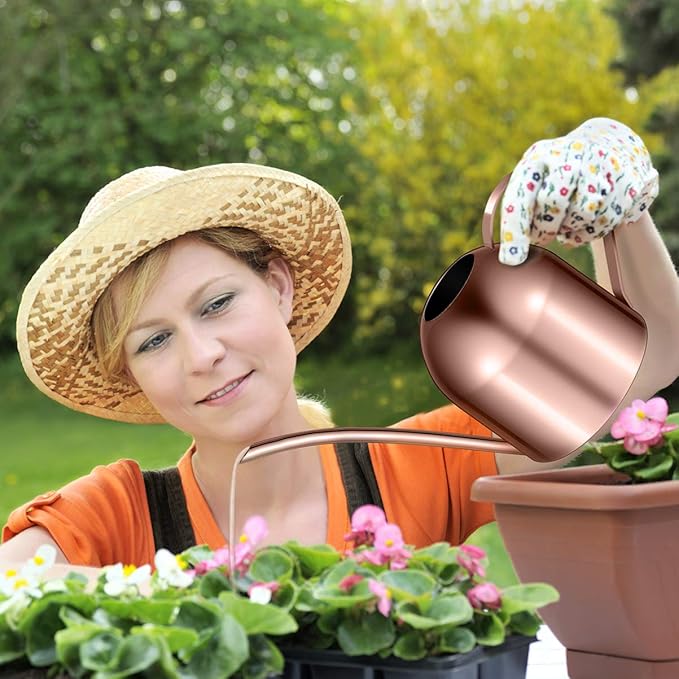 Yardwe 1000ml Stainless Steel Watering can for Indoor Plants, Long Spout Watering Pot for Garden Home Office, Rose Gold