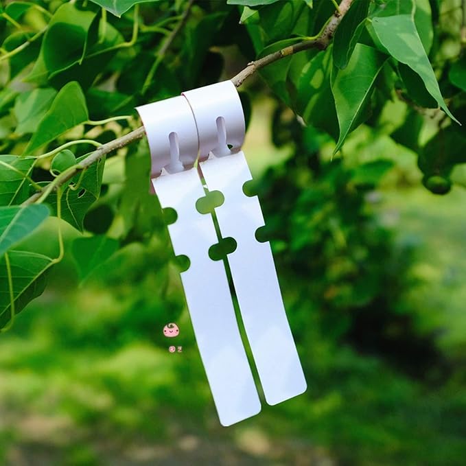 1000 Pieces Plant Labels 2x20cm Tree ID Tags Blank Name Tags Garden Markers Wrap Around Plastic Plant Nursery Garden Labels