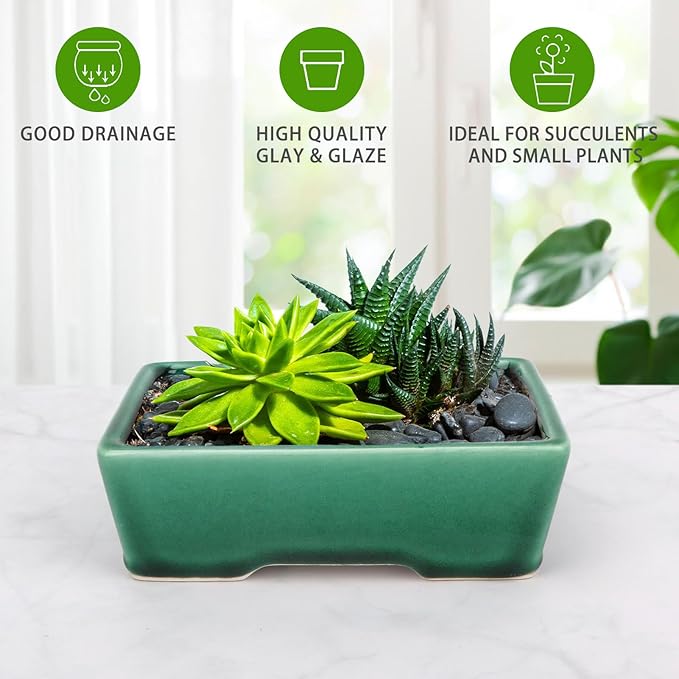 Set of 2 Zisha White Clay Bonsai Pot Glazed Shallow Succulent Planter Green