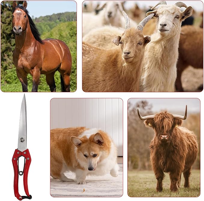 1PCS Multifunctional Stainless Steel Sheep Shears Hand Pruner, Powerful Spring Garden Shears，Wool Shears Manual Cow Wool Scissors Supplies Tool Pet