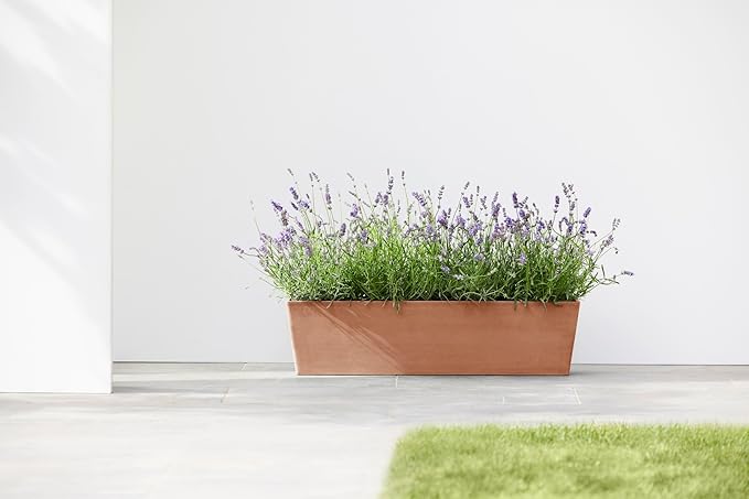 Ecopots Bruges Durable Modern Rectangular Indoor/Outdoor Recycled-Based Composite Flower Pot Planter, Terracotta Color, 31.5"