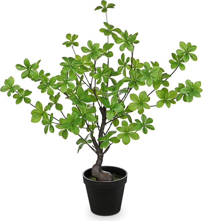 Artificial Plants Indoor with Pot, Faux Plants Indoor Tabletop, 21.6" Tall Fake Potted Plants, Silk Artificial Desk Plant Bonsai Tree for Home & Office, Farmhouse, Bedroom, Living Room Table Decor