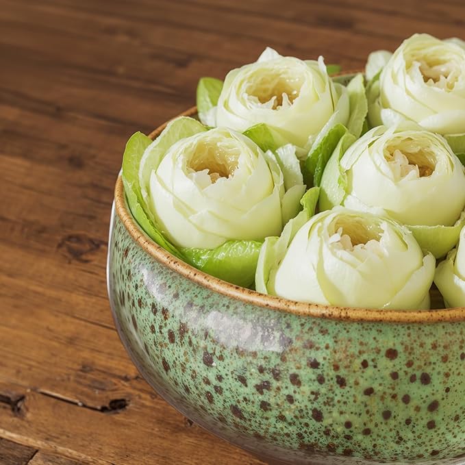 Baderke 2 Pcs Lotus Bowl Planter with Base Ceramic Hydroponic Planter Water Lily Bowl for Planting Aquatic and Indoor Plants Household Ceramic Basin Decor (Green)