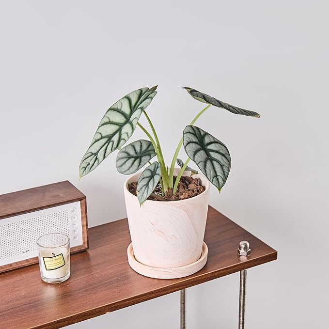 5 in Flower Planters Indoor, Modern Red Terra Cotta Plant Pot, Succulents Containers with Drain Hole Saucer, Decorate Home, Office, Outdoor/Garden Plants